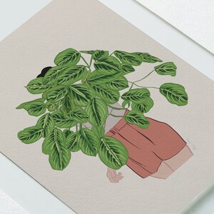 May include: Illustration of a person with a Maranta plant head. The person is wearing a red-orange shirt. The plant has green leaves with white stripes. The artwork is framed in a white frame.