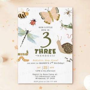 Puede incluir: Una invitación de cumpleaños caprichosa con ilustraciones de insectos, incluyendo una abeja, una mariposa y una mariquita. La invitación anuncia un tercer cumpleaños con el texto "Our Little Bug is Three".