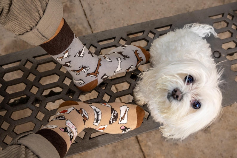 Perro calcetines perros calcetines no coincidentes calcetines locos calcetines divertidos animales mascotas imagen 4