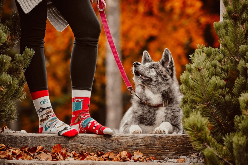 Cat and Dog Life Socks Cats Socks Dogs Socks Pet Socks Etsy