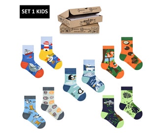 Kids socks set 1 nature | Set of colorful socks in the box | pack of cool casual socks | mismatched socks | funny socks | socks for gift