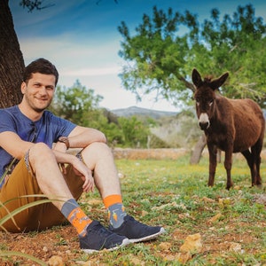 Stick & Carrot colorful socks cool socks mismatched socks crazy socks patterned socks funny, funky socks donkey pattern image 4