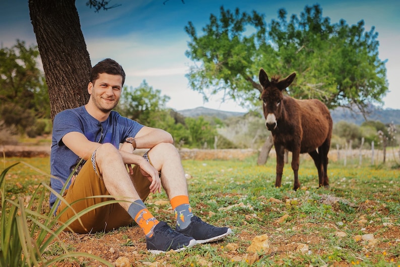 Stick & Carrot colorful socks cool socks mismatched socks crazy socks patterned socks funny, funky socks donkey pattern image 4