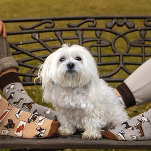 Perro calcetines perros calcetines no coincidentes calcetines locos calcetines divertidos animales mascotas imagen 2