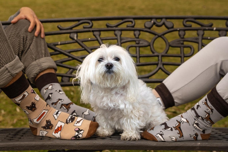 Perro calcetines perros calcetines no coincidentes calcetines locos calcetines divertidos animales mascotas imagen 2