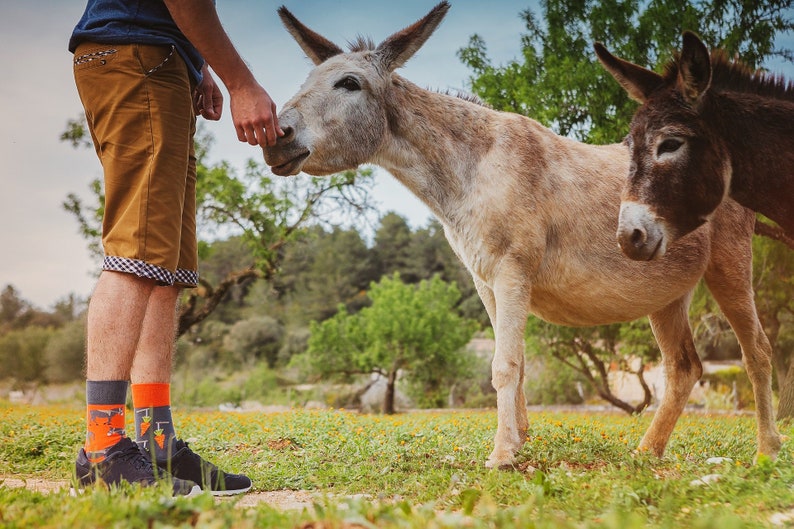 Stick & Carrot colorful socks cool socks mismatched socks crazy socks patterned socks funny, funky socks donkey pattern image 3