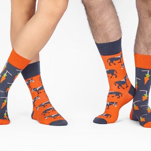 Stick & Carrot colorful socks cool socks mismatched socks crazy socks patterned socks funny, funky socks donkey pattern image 2