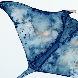Manta Ray Wall Decal Ocean Wall Sticker, Removable Peel and Stick Fabric, Sealife Under The Sea Underwater Kids Marine Nursery Decor image 3