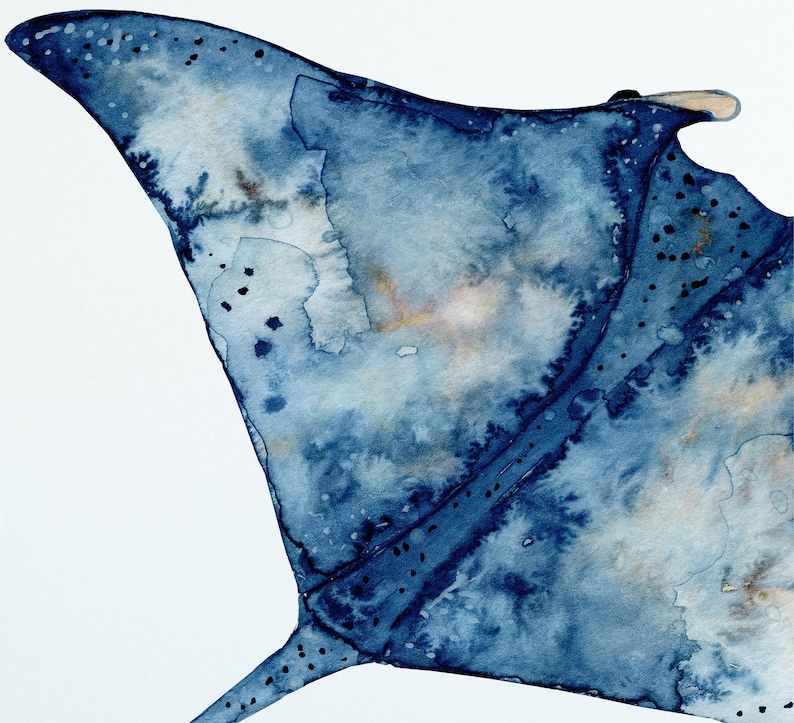 Manta Ray Wall Decal Ocean Wall Sticker, Removable Peel and Stick Fabric, Sealife Under The Sea Underwater Kids Marine Nursery Decor image 3