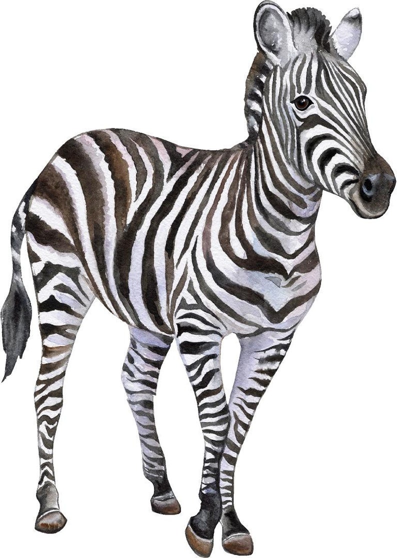 Zebra #2 Wall Decal Safari Animal Wall Sticker Removable Fabric for ...