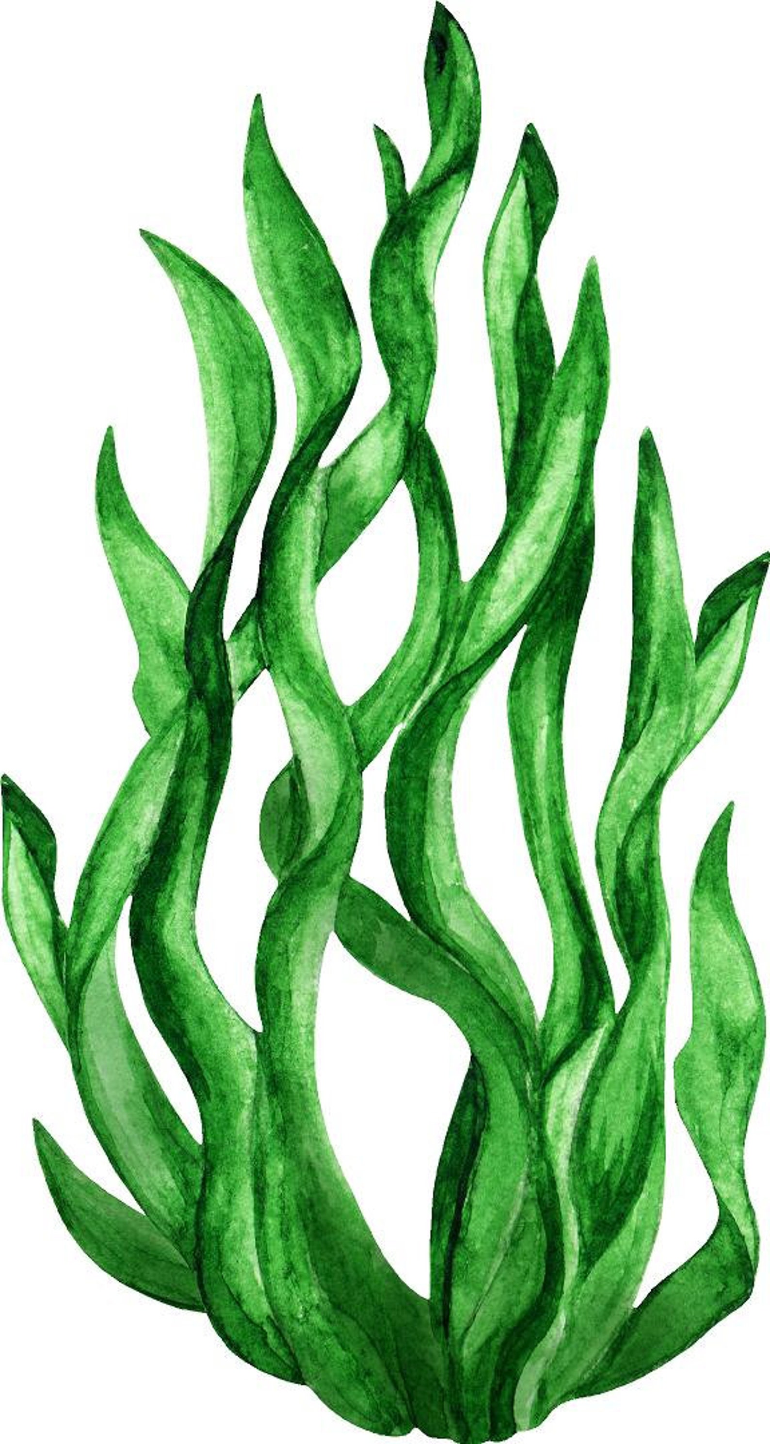 Green Seaweed 3 Wall Decal Ocean Sea Life Removable Fabric Etsy.de