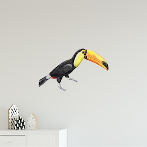 Toco Toucan Bird Wall Decal Tropical Rainforest Birds Wall Sticker Removable Fabric  Nursery Room Decor