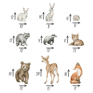 Woodland Animals Wall Decal Set #2 | Watercolor Woodland Forest Animal ...