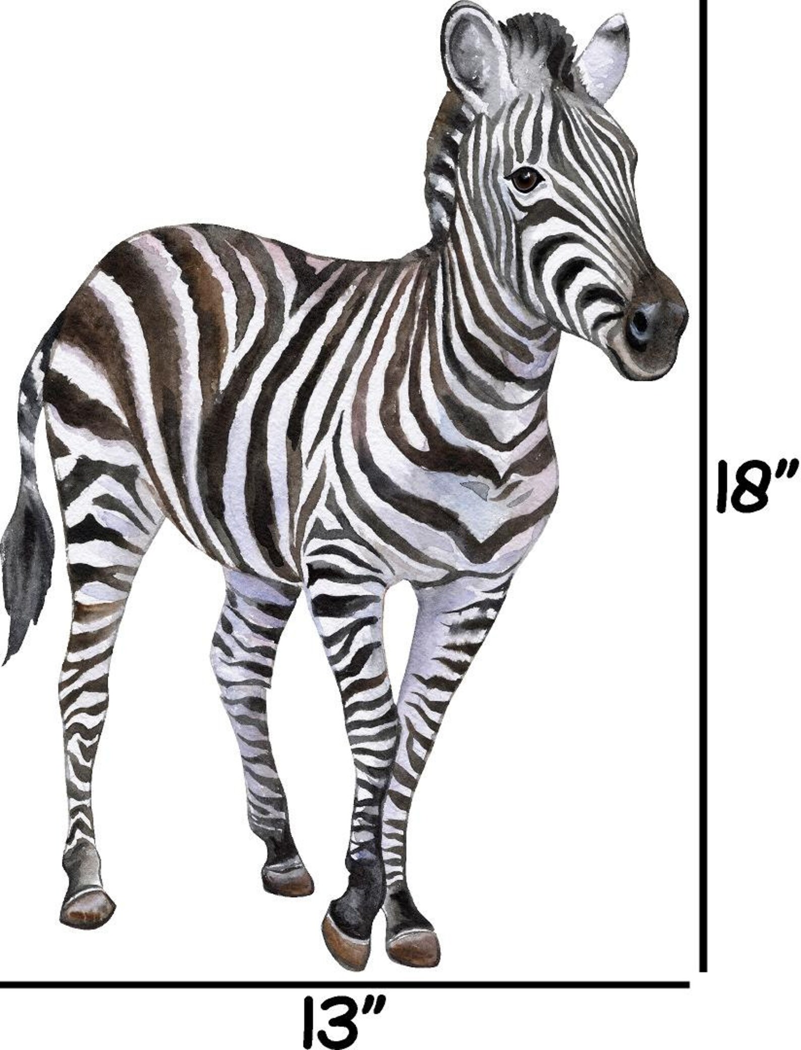 Zebra 2 Wall Decal Safari Animal Wall Sticker Removable Etsy