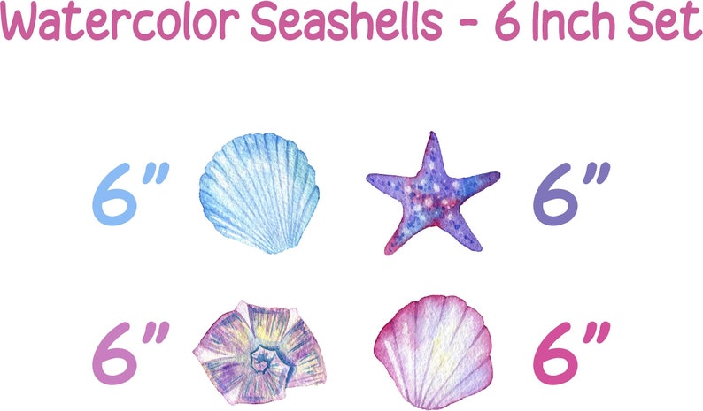 Watercolor Seashells & Starfish Wall Decal Set of 4 Ocean Sea - Etsy