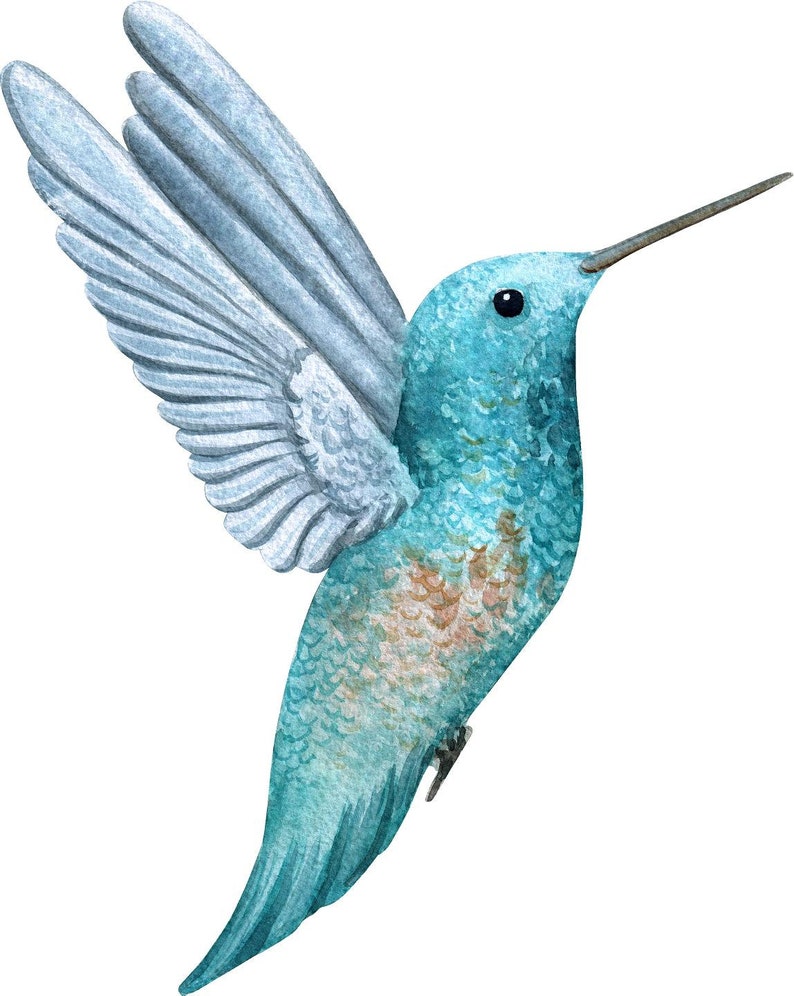 Hummingbird Wall Decal Watercolor Bird Wall Sticker Removable Etsy