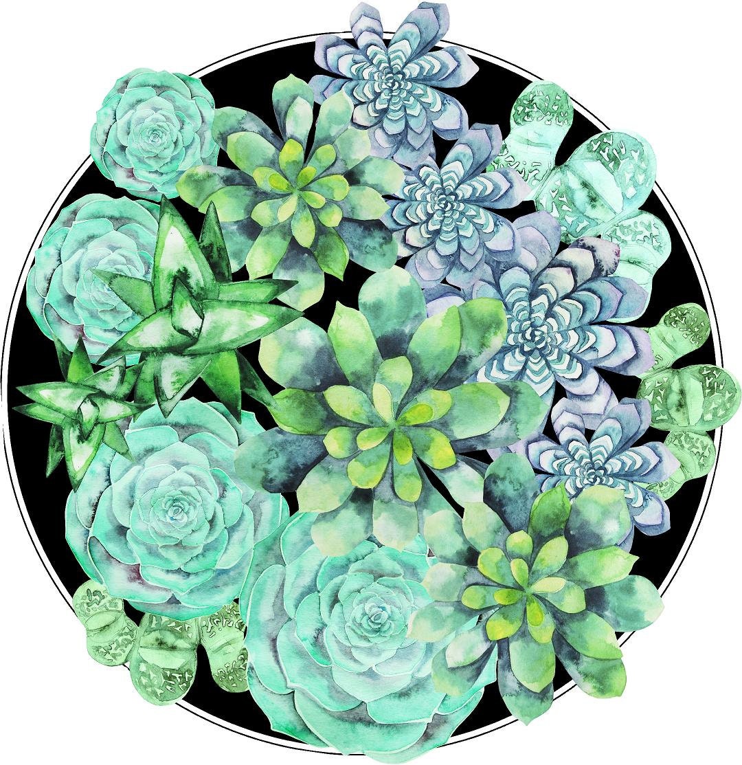 Succulent Wall Decal Sticker Watercolor Succulents Cactus Boho Etsy