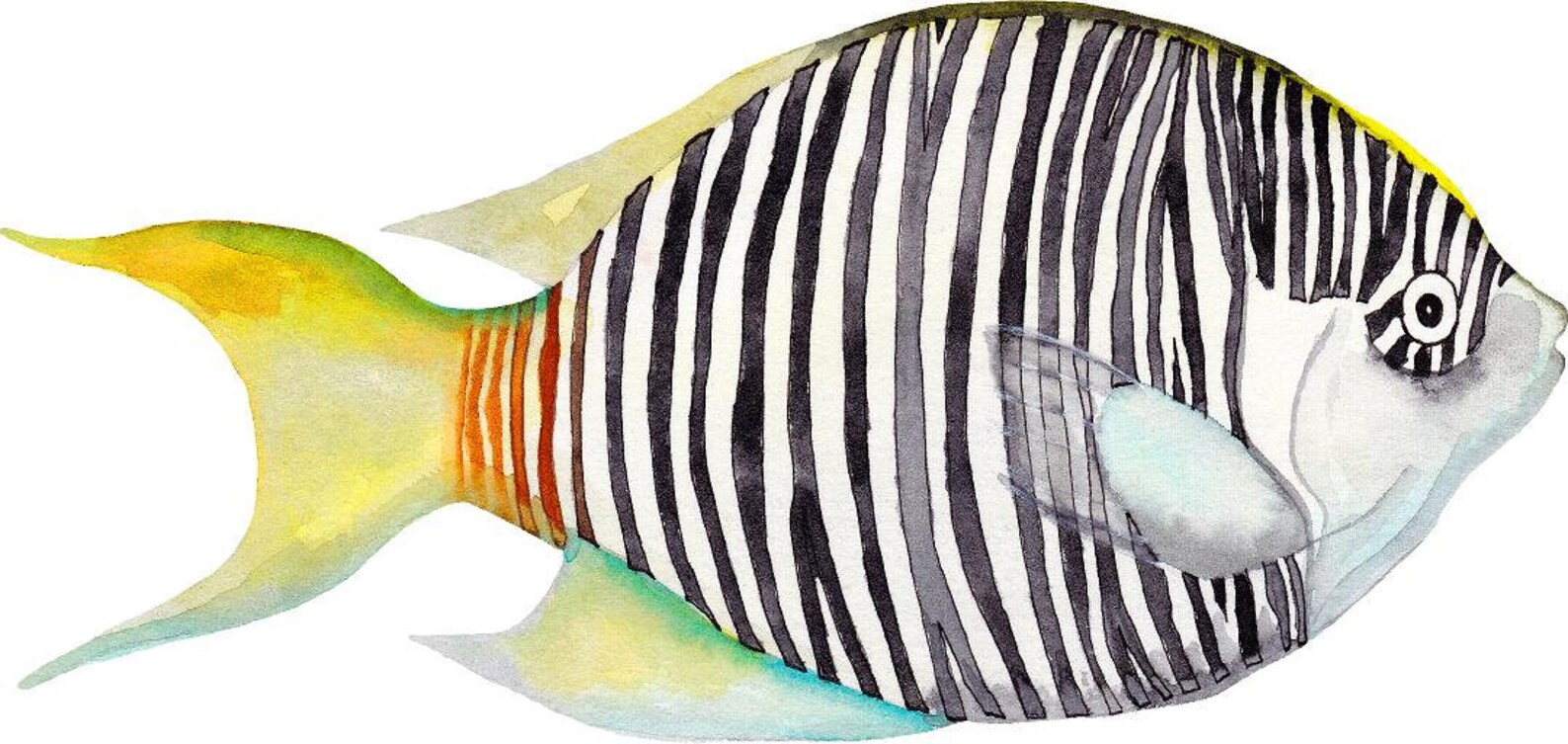 Zebra Angelfish Wall Decal Watercolor Tropical Exotic Fish Etsy