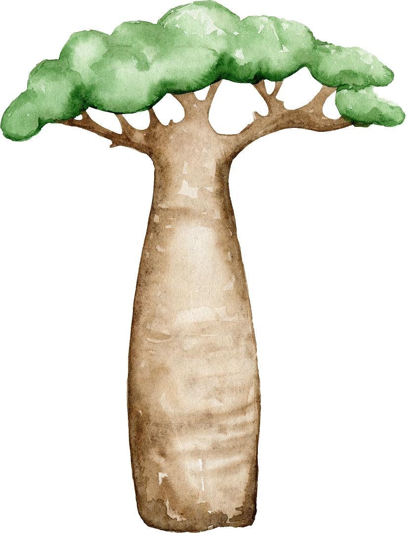 Grand sticker mural arbre baobab thème jungle I série-golo