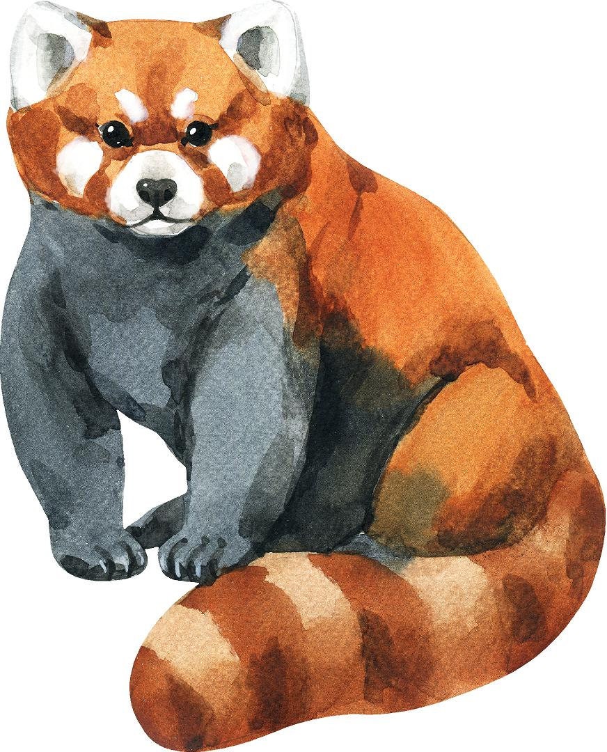 Red Panda Wall Decal Watercolor Animal Peel & Stick Removable Etsy