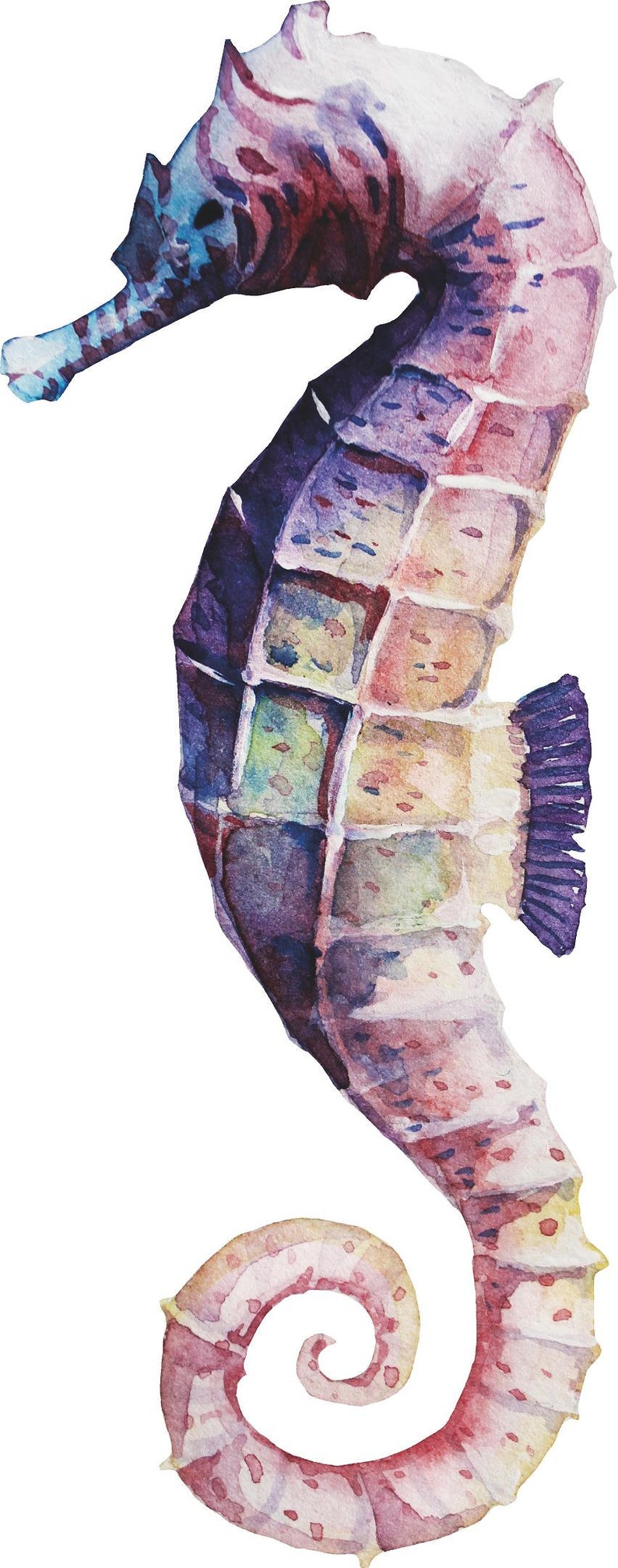 Rainbow Seahorse Wall Decal Removable Wall Sticker Deep Sea Etsy