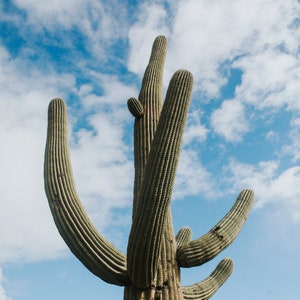 Southwest Trio DOWNLOADABLE wall art. THREE printable Downloadable color photography prints. Use as a set or separately