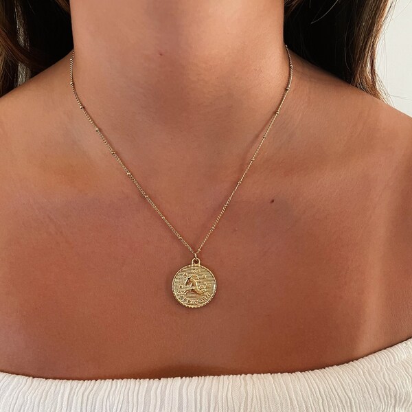 Capricorn Zodiac Coin Stainless Steel Necklace, Horoscope, Zodiac Sign Jewelry, 12 Constellation Gold Coin Pendants, Birthday Gift for Her
