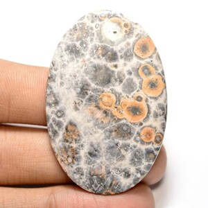 Cabochon en jaspe en peau de léopard... Cabochon ovale... 49x32x5 mm...44 Cts...#G8884