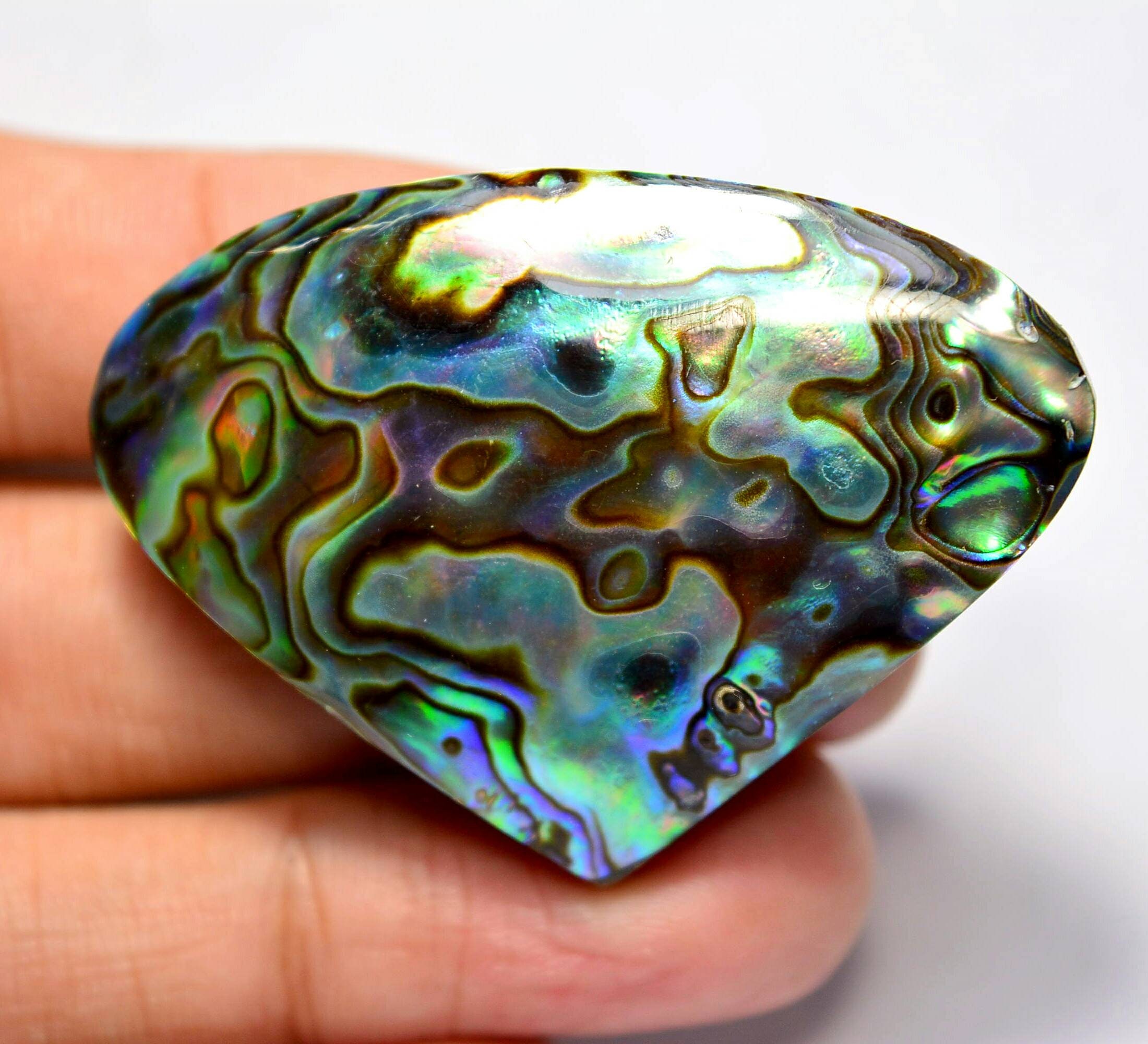 Abalone Cabochon....Paua Shell Cabochon.. Abalone Shell Etsy
