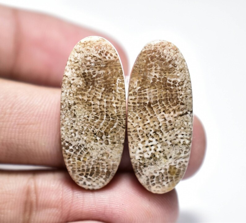 Spider Web Fossil Coral Cabochon Pair...Oval Cabochon...28x12x4 mm...26 Cts...#D9710