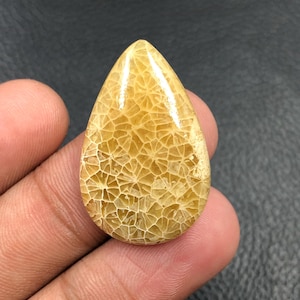 Fossil Coral Cabochon... Pear Cabochon...31x20x5 mm...24 Cts...A#O1826