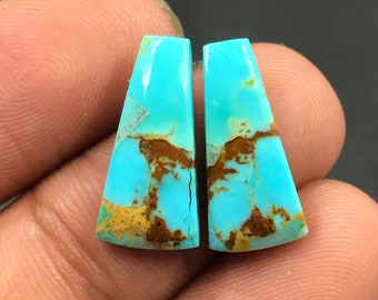 Mohave Turquoise Pair Cabochon...Freeform Cabochon...18x9x4 mm...8 Cts...A#M5048