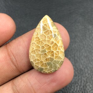 Fossil Coral Cabochon... Pear Cabochon...26x16x5 mm...17 Cts...A#O1830