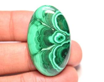 Malachit-Cabochon...Ovaler Cabochon...35x21x7 mm...60 Cts...A#M6300