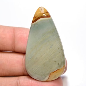 Owyhee Bild Jaspis Cabochon... Birnen Cabochon... 46x25x5 mm.. 45 Cts... #G8514