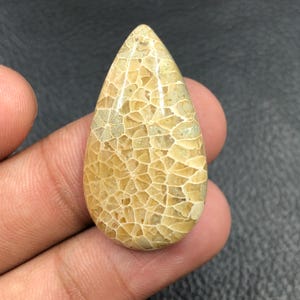 Fossil Coral Cabochon... Pear Cabochon...35x19x6 mm...32 Cts...A#O1822