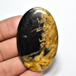 May include: Oval-shaped gemstone with a polished surface. The stone features a striking contrast of black and golden-brown hues, with swirling patterns and a glossy finish. The gemstone is held in a hand.