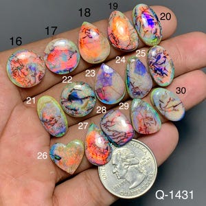 May include: A collection of fifteen polished, multi-colored opals in various shapes, including ovals, teardrops, and a heart, each numbered 16 through 30. A United States quarter coin is included for scale, and the text Q-1431 is visible.