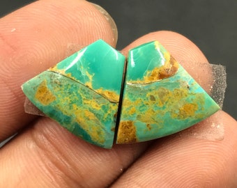 Mohave Turquoise Pair Cabochon...Freeform Cabochon...14x16x4 mm...10 Cts...A#M5050