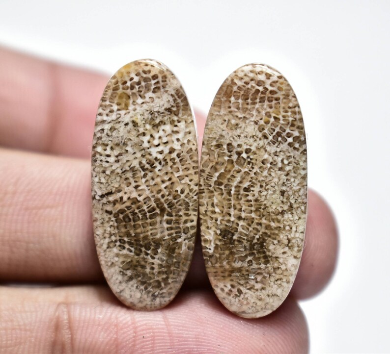 Spider Web Fossil Coral Cabochon Pair...Oval Cabochon...28x12x4 mm...26 Cts...#D9710