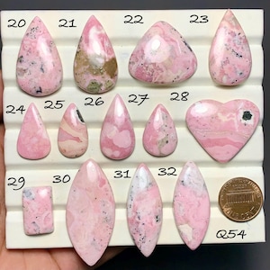 May include: A collection of polished pink rhodochrosite cabochons in various shapes, including teardrops, ovals, and a heart, arranged on a white display tray with numbers 20 through 32 and a US penny for scale, labeled with the code Q54.