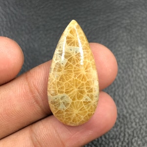 Fossil Coral Cabochon... Pear Cabochon...33x16x7 mm...30 Cts...A#O1825