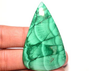 Malachite Cabochon...Pear Cabochon...51x33x6 mm...103 Cts...A#M6308