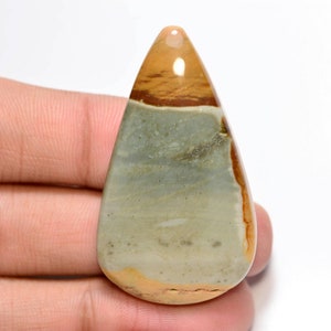 Owyhee Bild Jaspis Cabochon... Birnen Cabochon... 46x27x7 mm... 59 Cts... #G8508