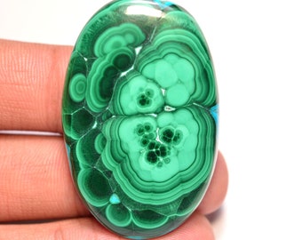 Malachit Cabochon...Ovaler Cabochon...43x28x6 mm...88 Cts...A#M6292