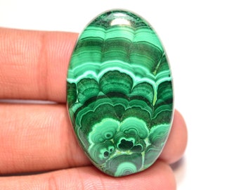 Malachit Cabochon...Ovaler Cabochon...37x24x6 mm...71 Cts...A#M6296