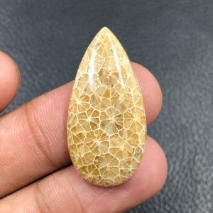 Fossil Coral Cabochon... Pear Cabochon...33x17x5 mm...22 Cts...A#O1823
