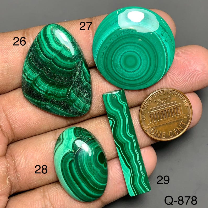 Puede incluir: Cuatro piedras preciosas de malaquita pulida etiquetadas 26, 27, 28 y 29, con patrones de bandas de color verde vibrante. Las piedras se muestran junto a una moneda de un centavo de cobre para escala, con el texto Q-878 en la esquina inferior.