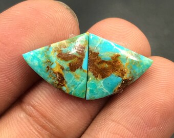 Mohave Turquoise Pair Cabochon...Freeform Cabochon...12x15x3 mm...6 Cts...A#M5051