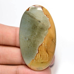 Owyhee Bild Jaspis Cabochon... Ovaler Cabochon... 54x30x5 mm.. 72 Cts... #G8500